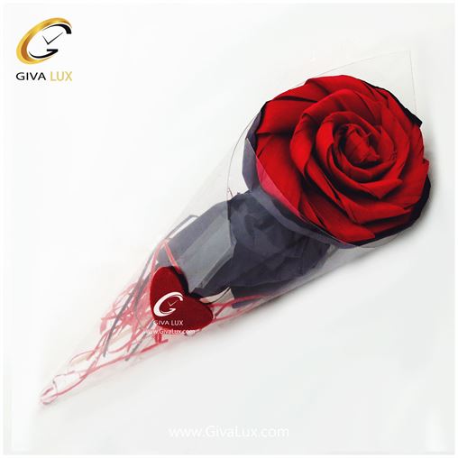 گل کاغذی به همراه طلق